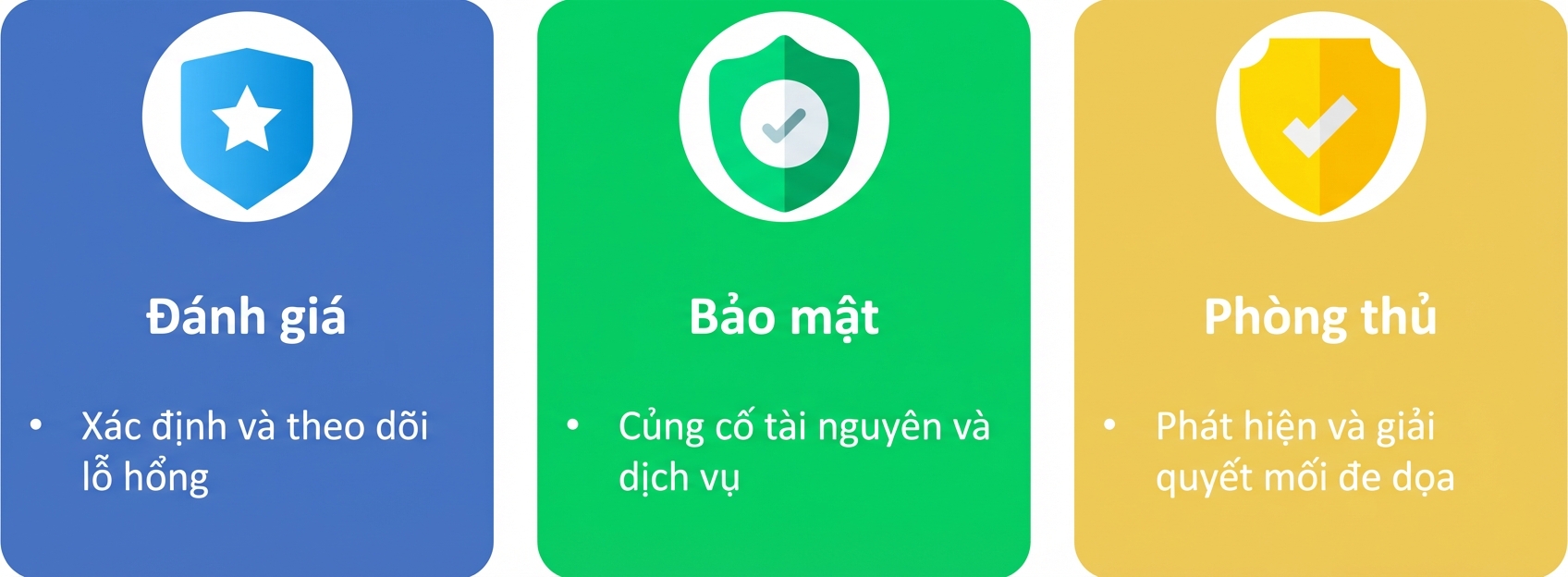 Đánh giá, bảo vệ và phòng thủ