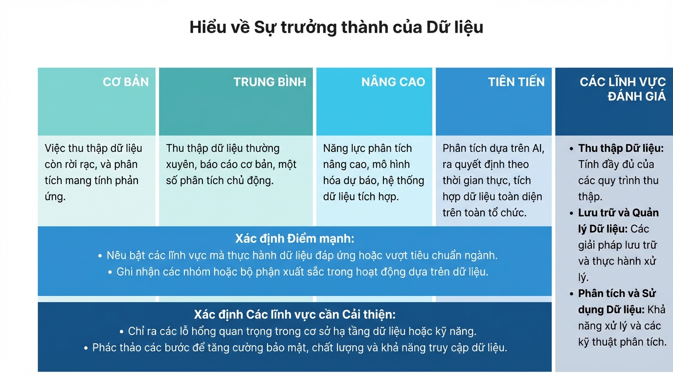 Bộ sưu tập các hộp