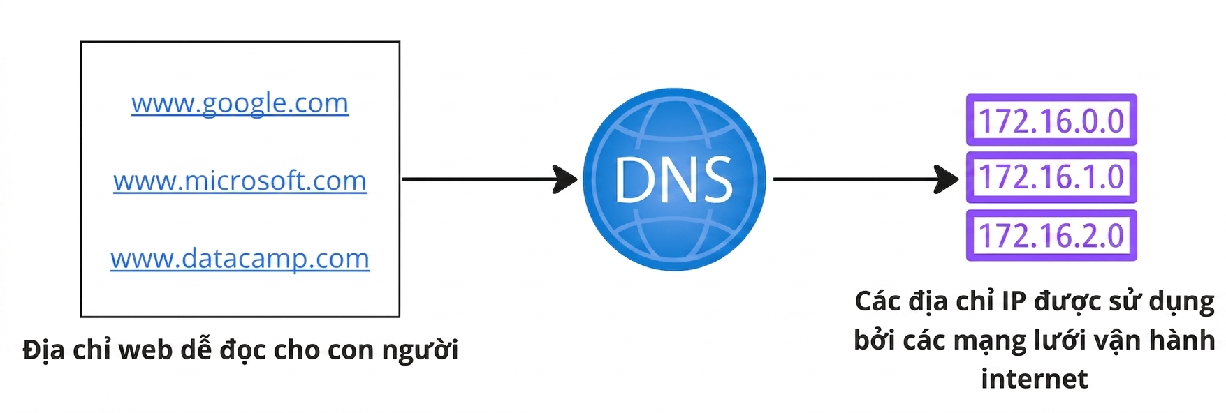 Sơ đồ luồng hiển thị chuyển đổi từ địa chỉ web dễ đọc sang IP.