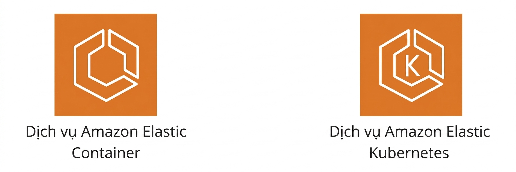 Biểu tượng Amazon Elastic Container Service và Amazon Elastic Kubernetes Service.