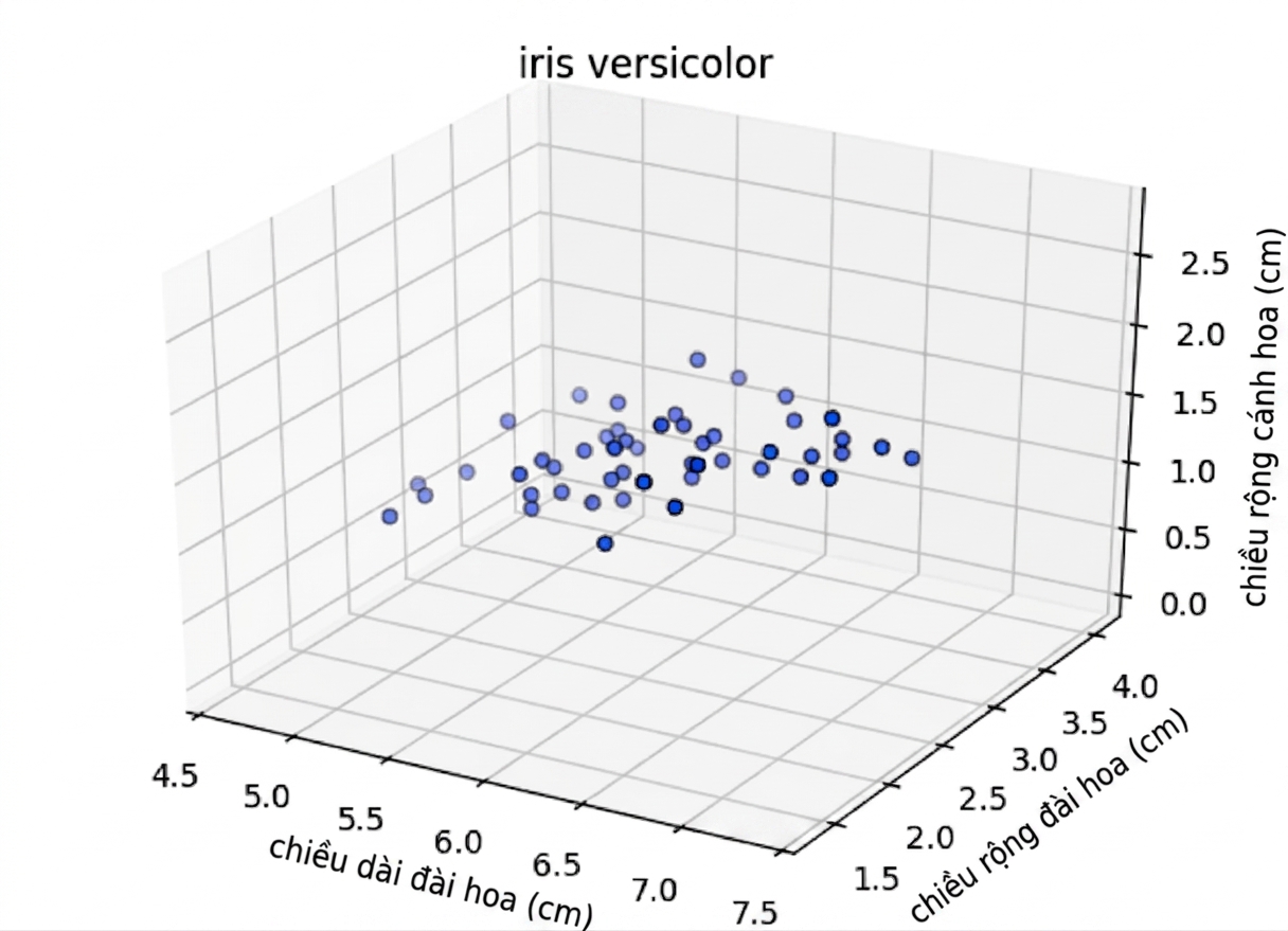 Các điểm Versicolor trong 3D: chiều dài đài vs chiều rộng đài vs chiều rộng cánh