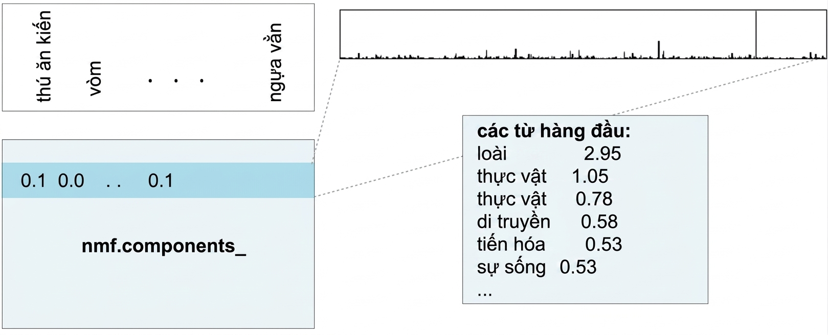 hộp với các từ và giá trị hàng đầu: species 2.95, plant 1.05, plants 0.78, v.v.