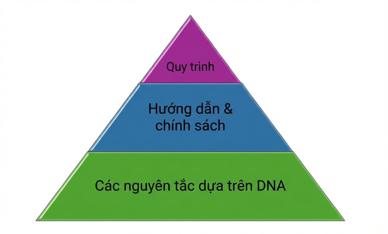 Hình kim tự tháp với 3 tầng