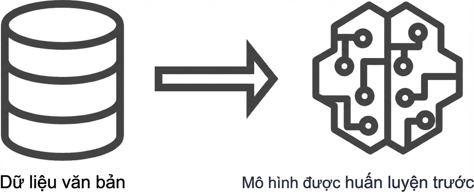 Hình mô hình tiền huấn luyện
