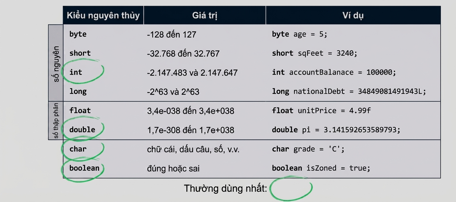 Bảng các kiểu nguyên thủy
