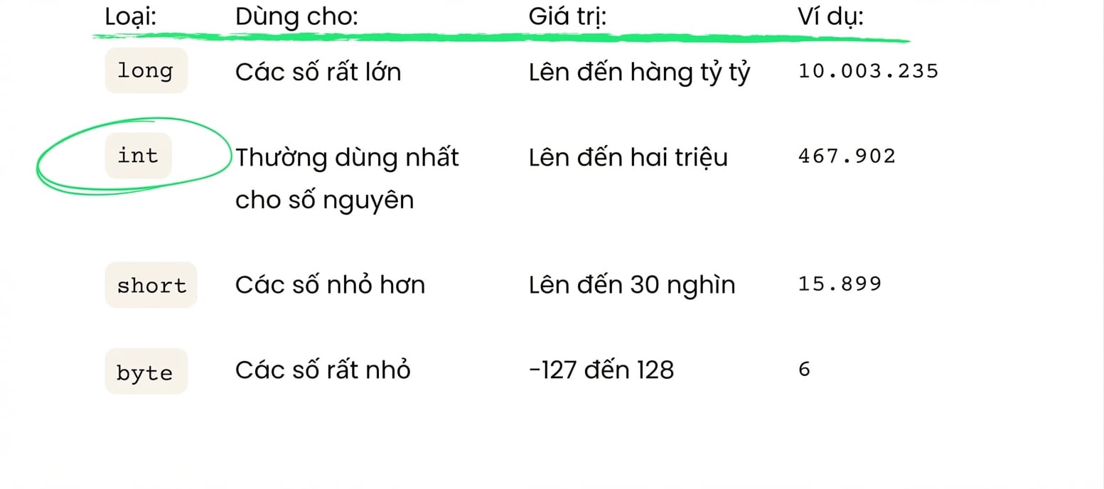 int được dùng phần lớn thời gian