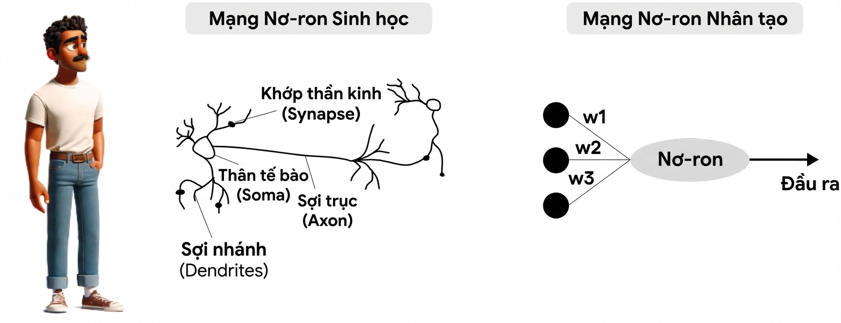 Minh họa một người đàn ông đứng nhìn vào một hình bầu dục, đại diện cho một nơ-ron