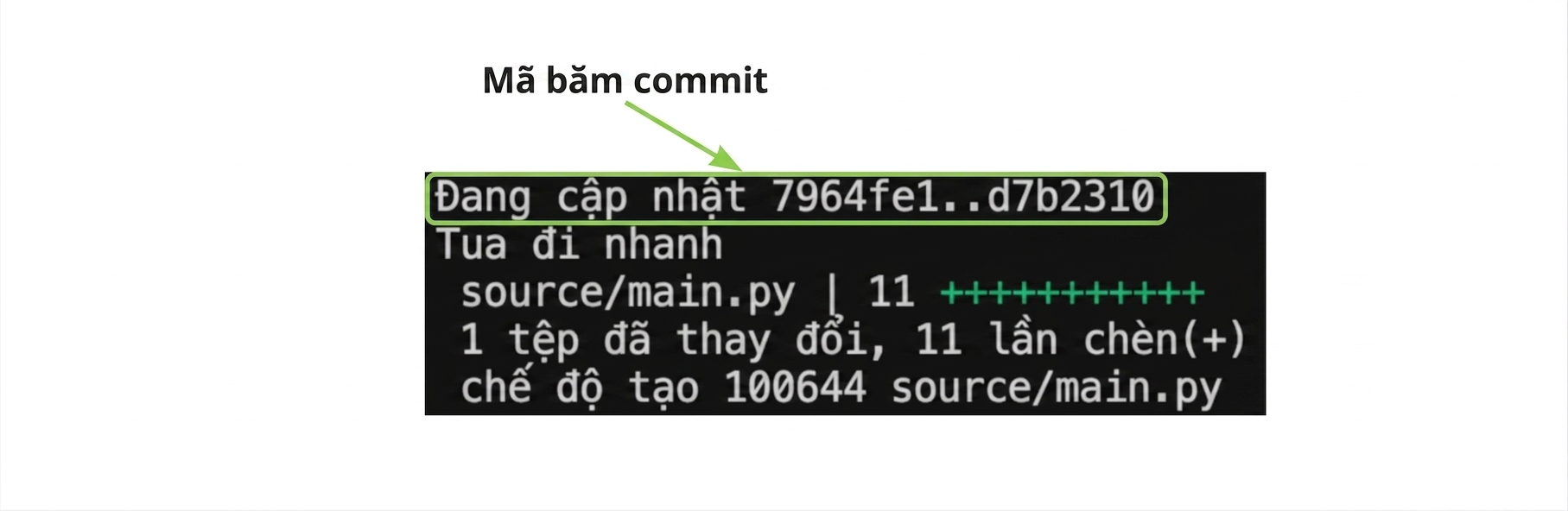 git_merge_output với phần tô sáng hash của commit