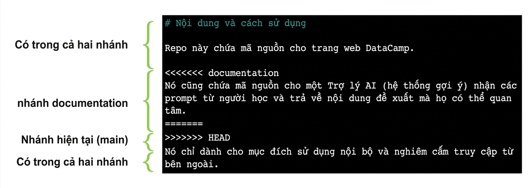 tệp có chú thích cho thấy nội dung trên nhánh main và nhánh documentation