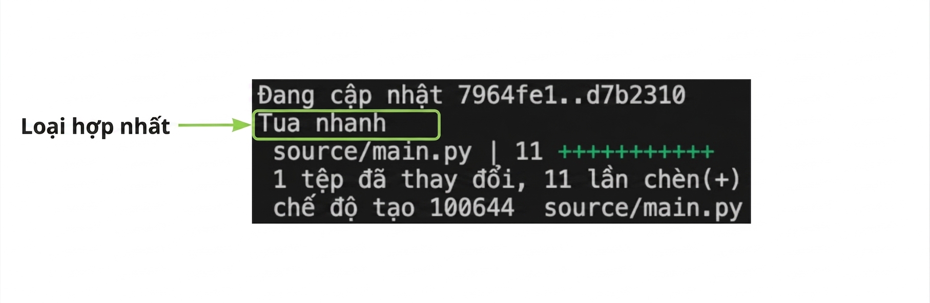 git_merge_output với phần tô sáng loại gộp