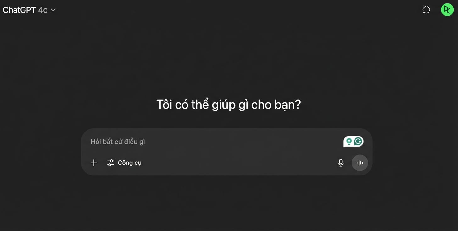 gpt-4o