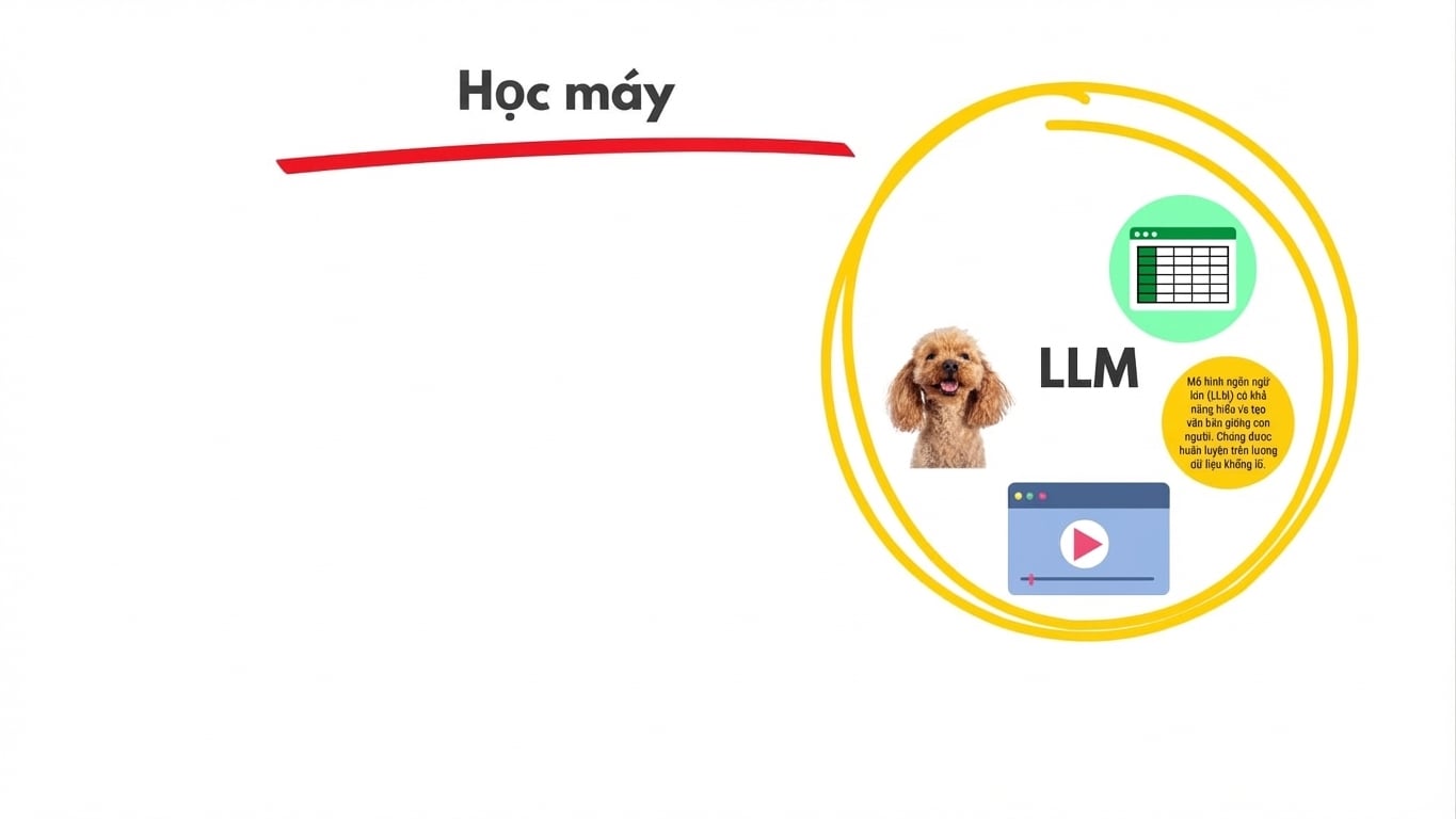 llms5.jpg