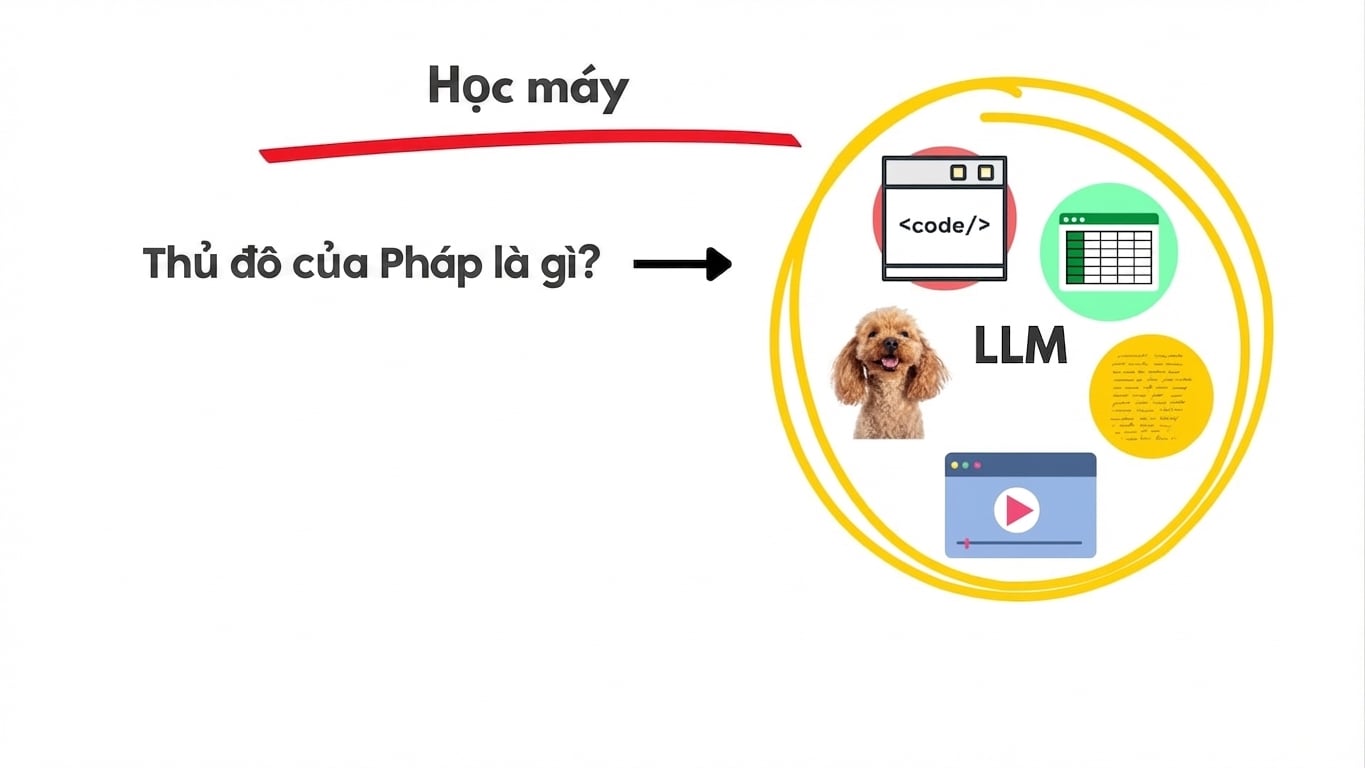 llms7.jpg