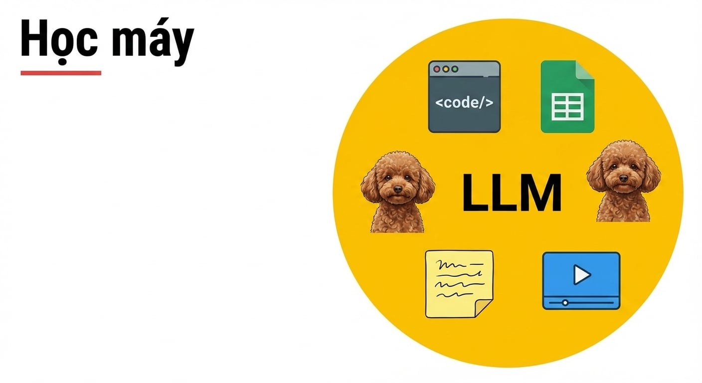 llms6.jpg