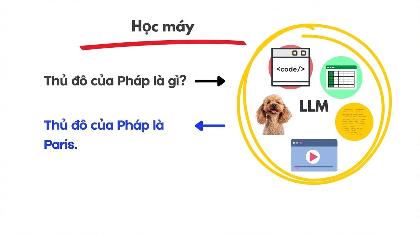 llms8.jpg