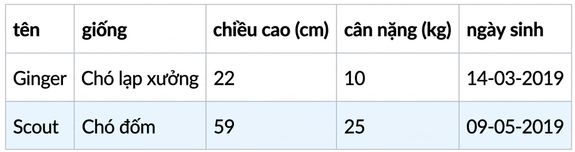Bộ dữ liệu chứa hai chú chó mới