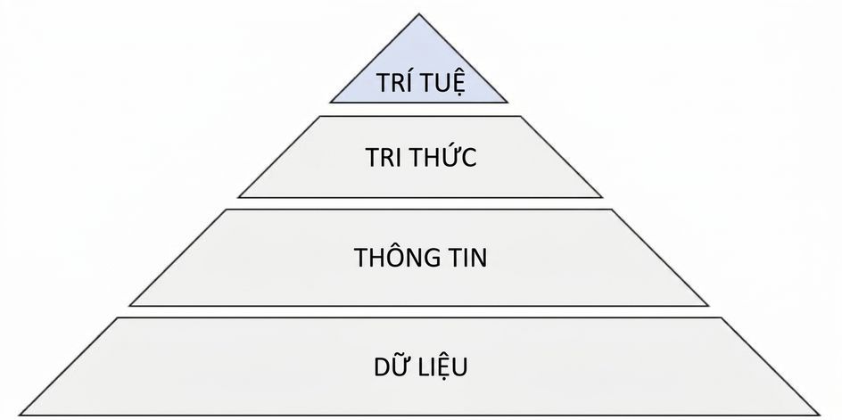 sơ đồ kim tự tháp DIKW với bước wisdom được tô sáng