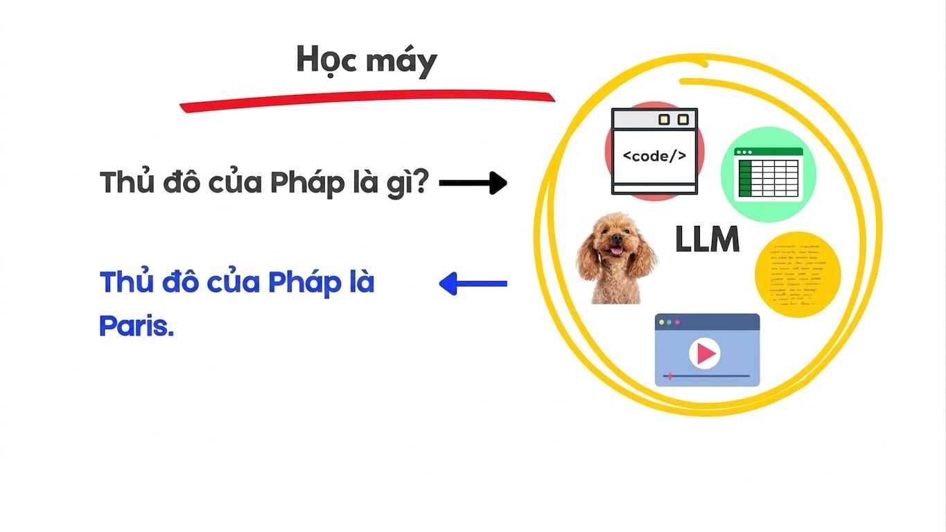 llms8.jpg