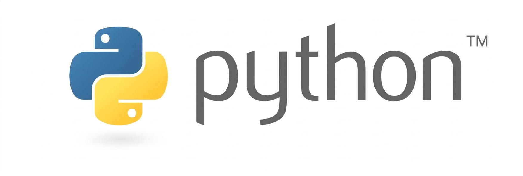 python 标志