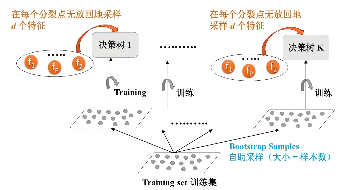 RFtrain