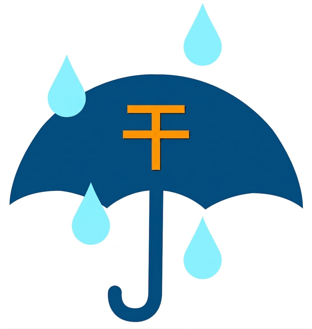 DRY 雨伞