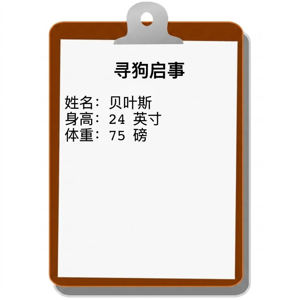 失踪小狗报告