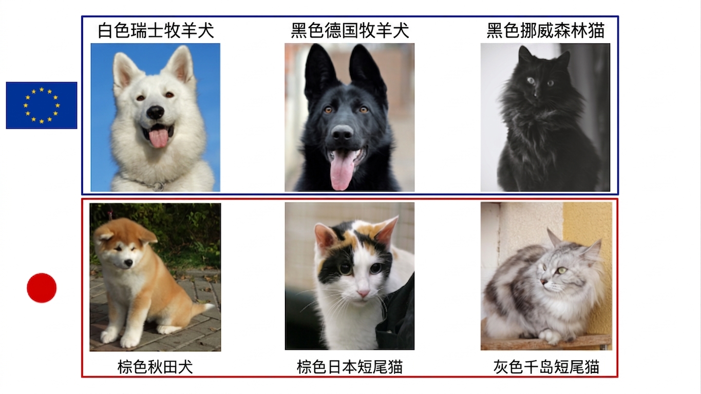 按来源划分的狗和猫