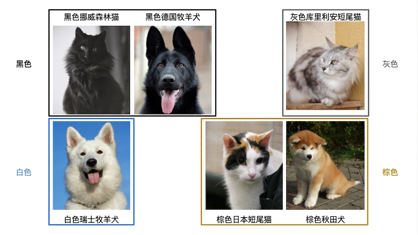 按颜色划分的狗和猫