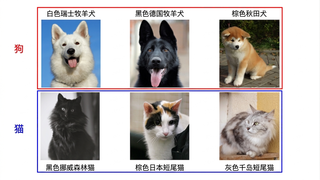 按物种划分的狗和猫