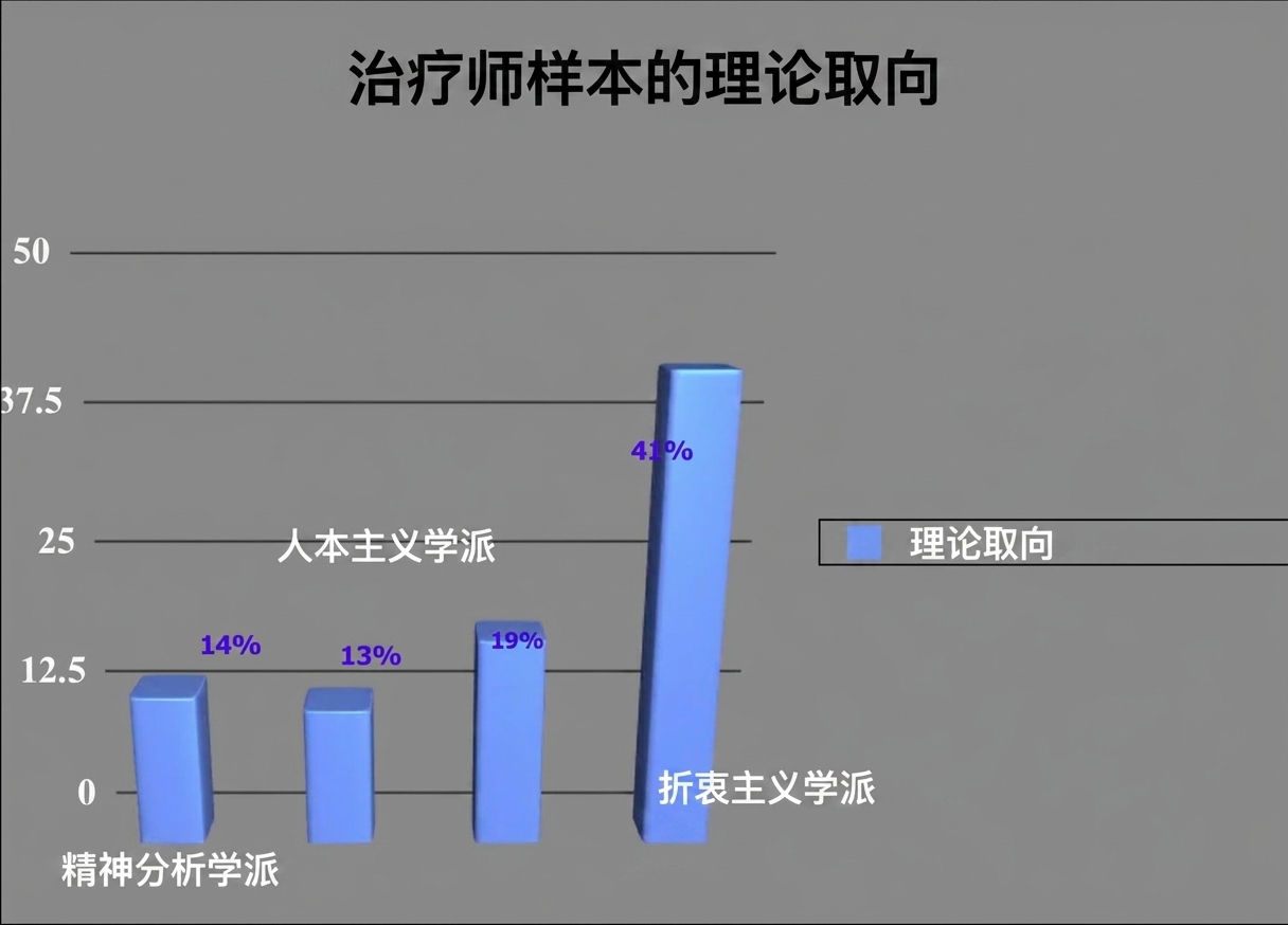 带有图表垃圾的理论取向柱状图
