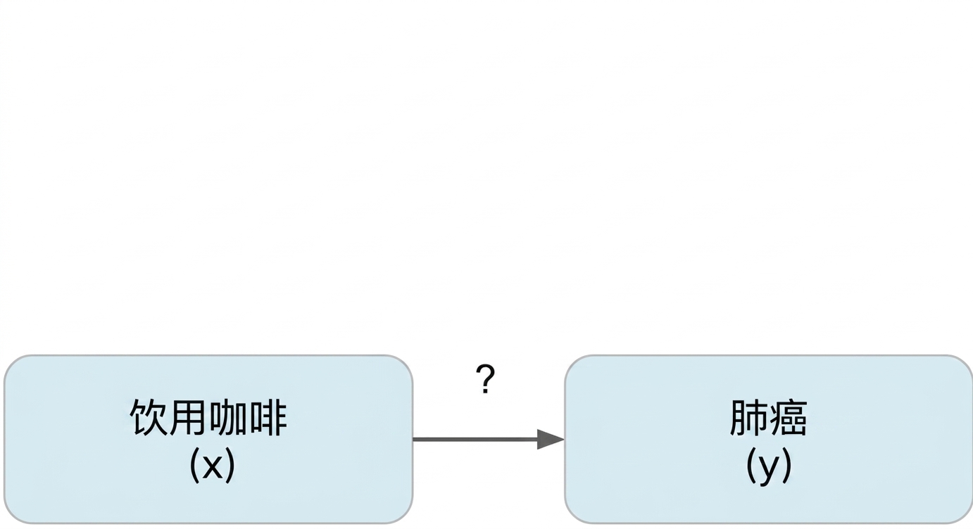 咖啡饮用（x）指向肺癌（y）