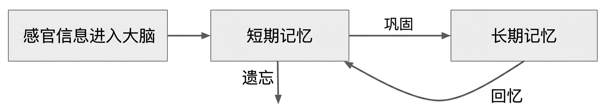 短期记忆如何工作