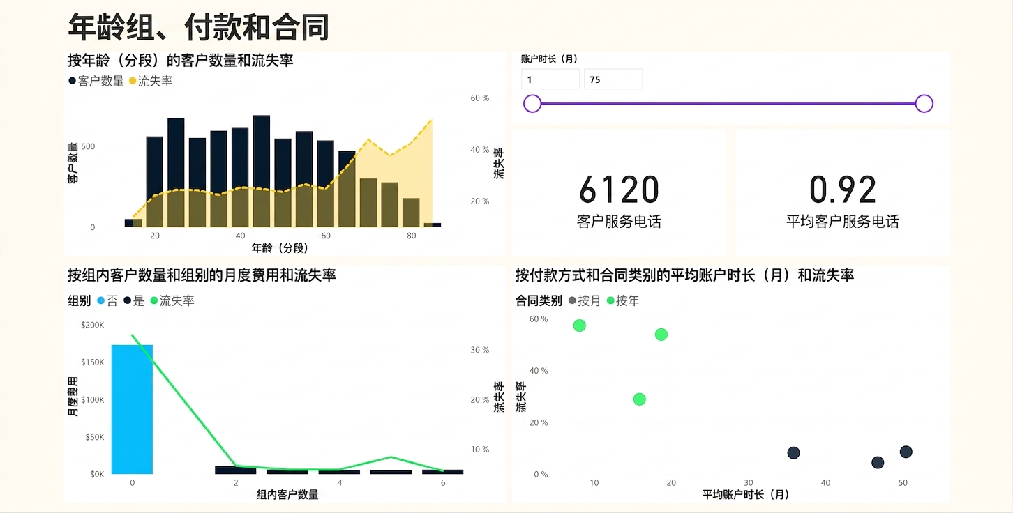 "年龄组-付款-合同"报告页