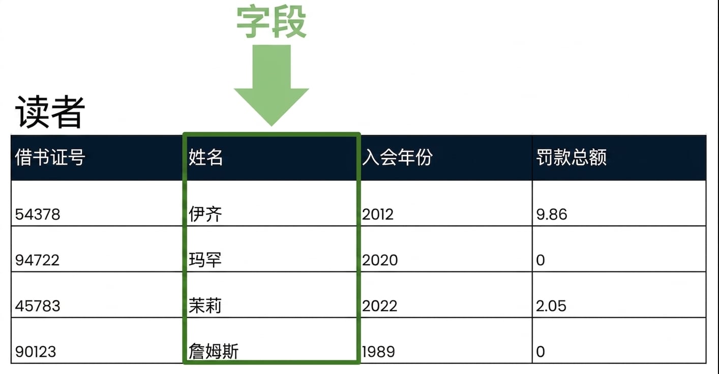 patrons 表中高亮了一个字段
