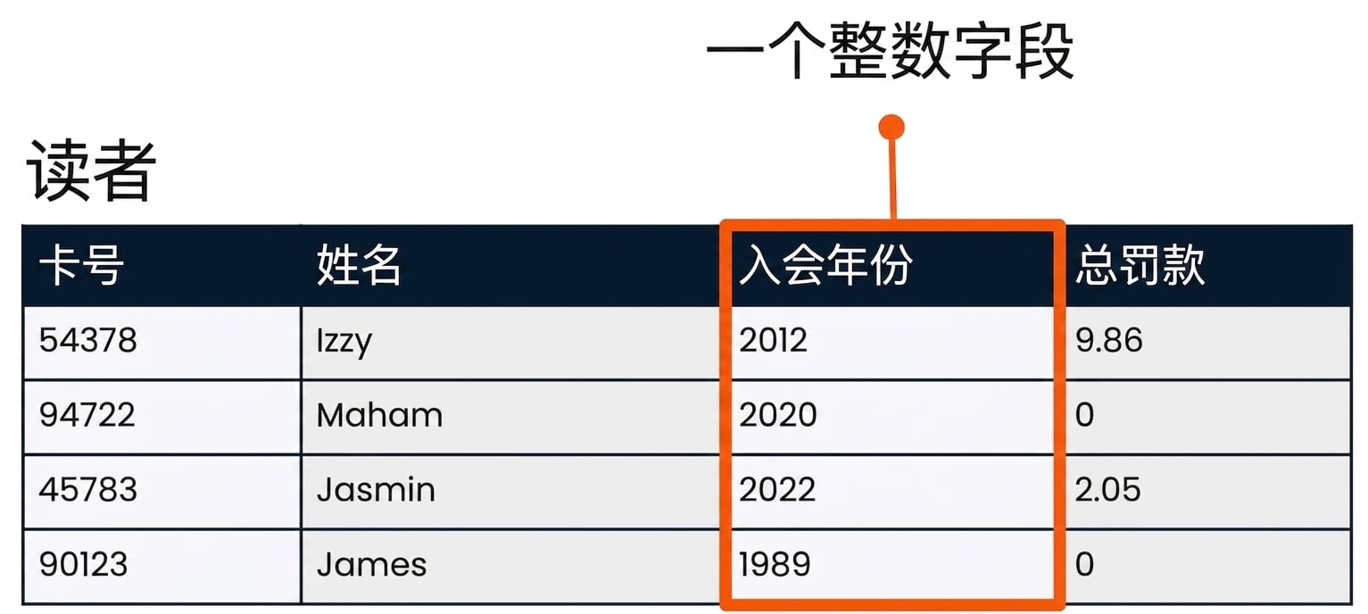 patrons 表，突出 member_year 字段，作为整数字段示例