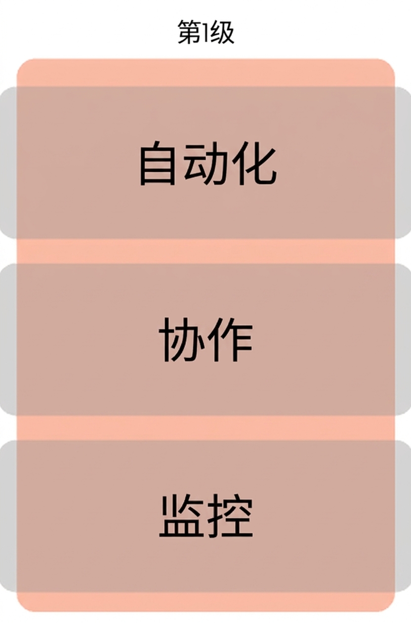 等级 1 成熟度