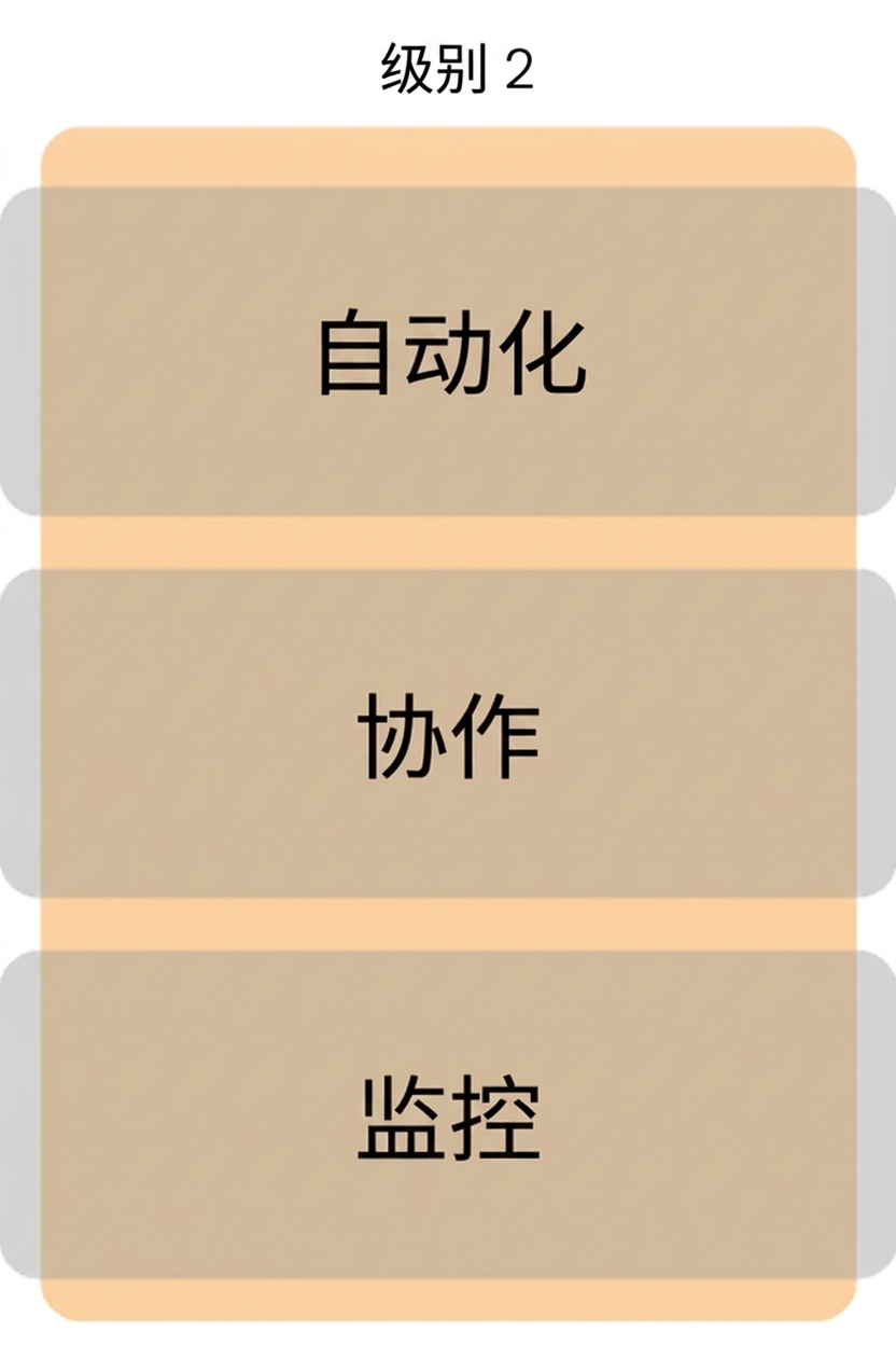 等级 2 成熟度