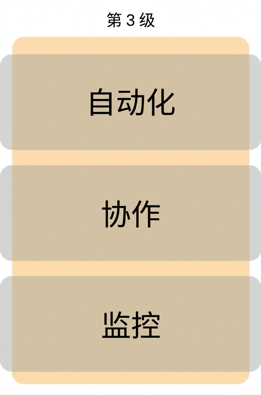 等级 3 成熟度