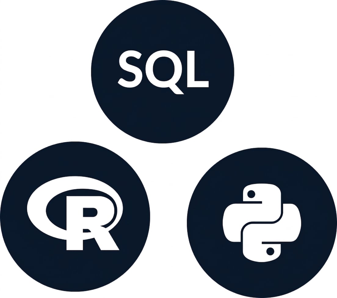 SQL、R 和 Python 的图标