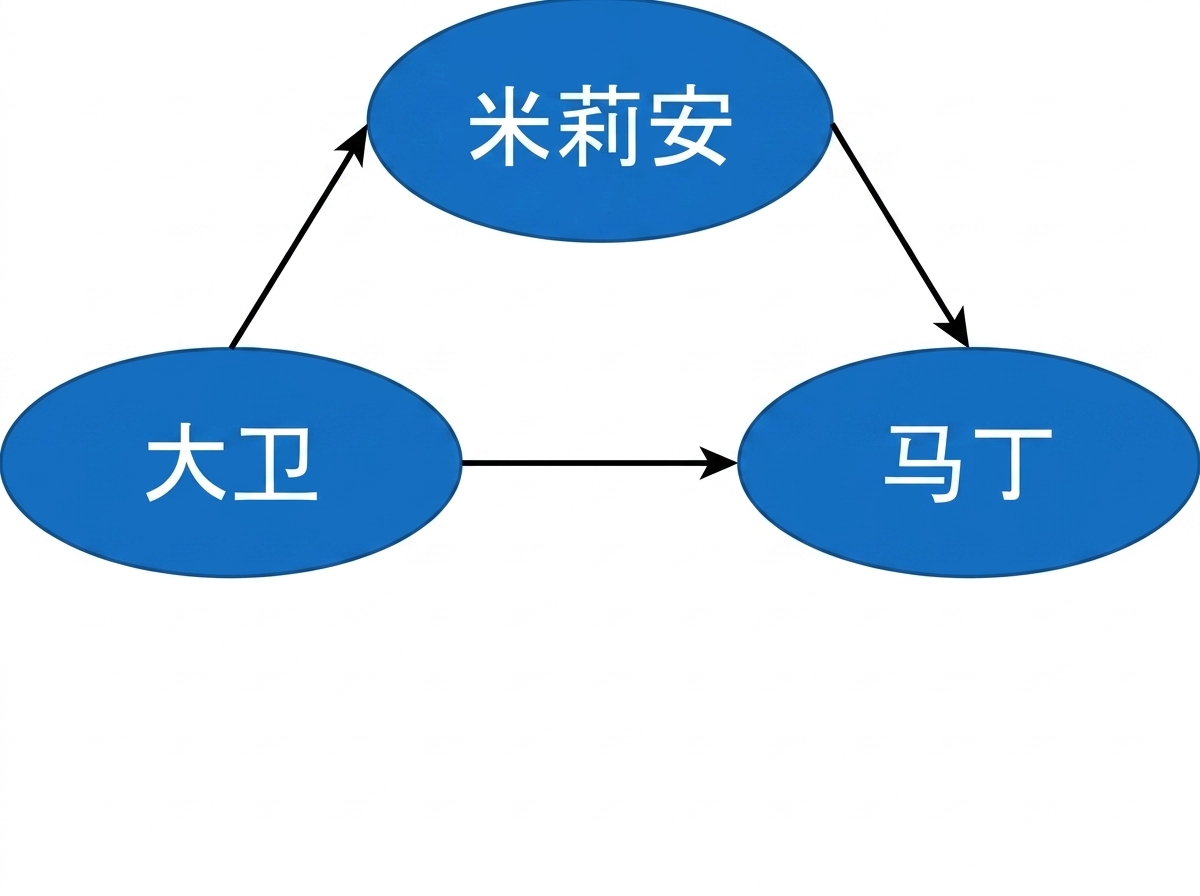 有向图示意图。