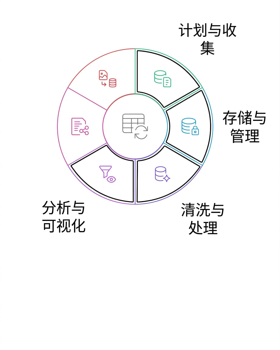数据生命周期：分析与可视化