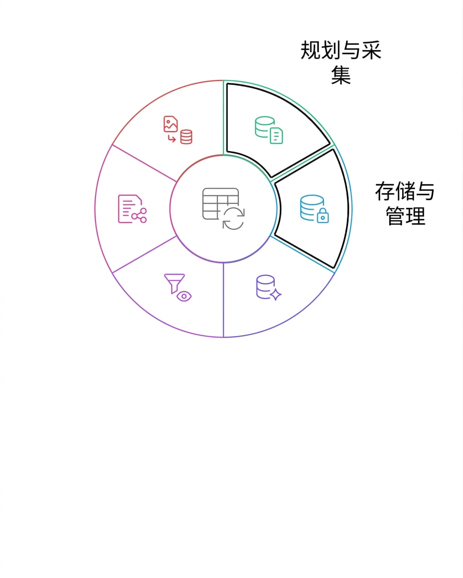 数据生命周期：存储与管理