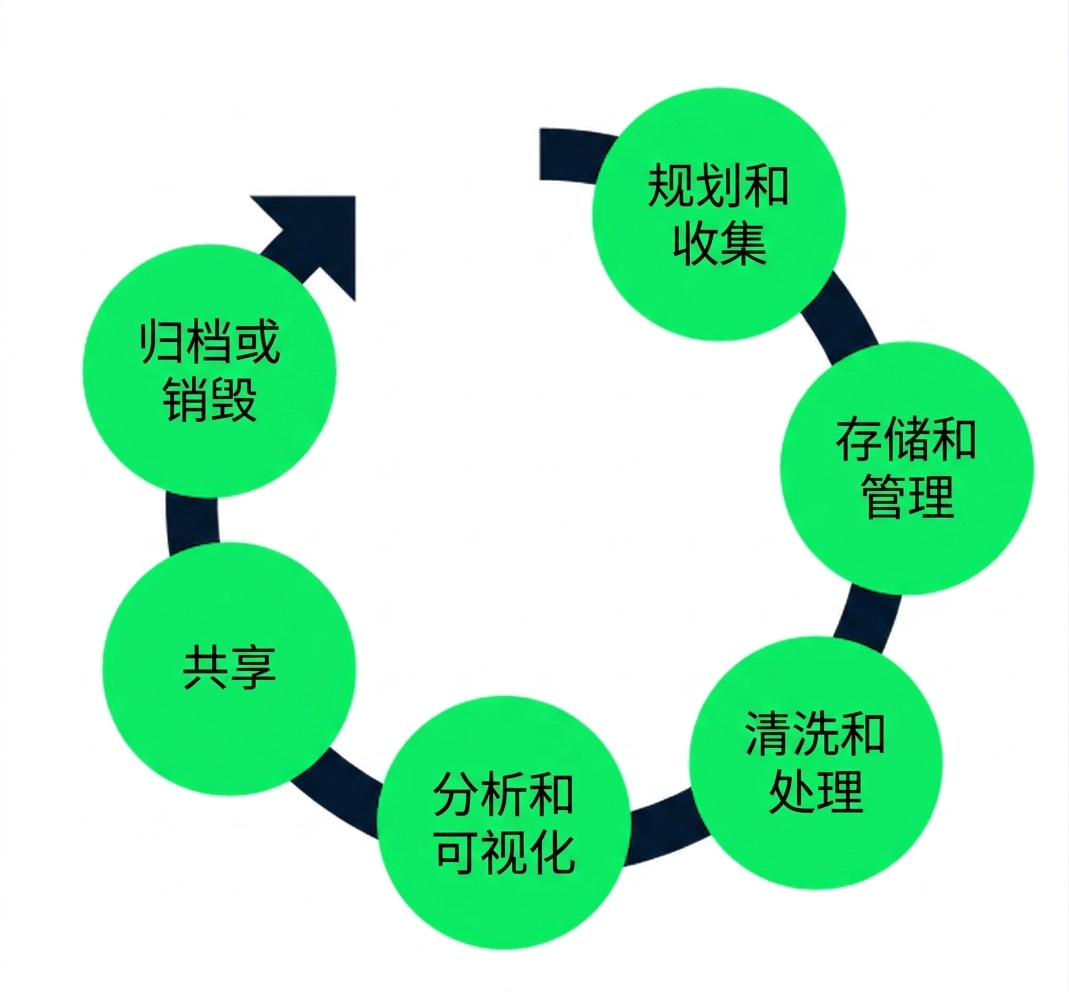 数据生命周期