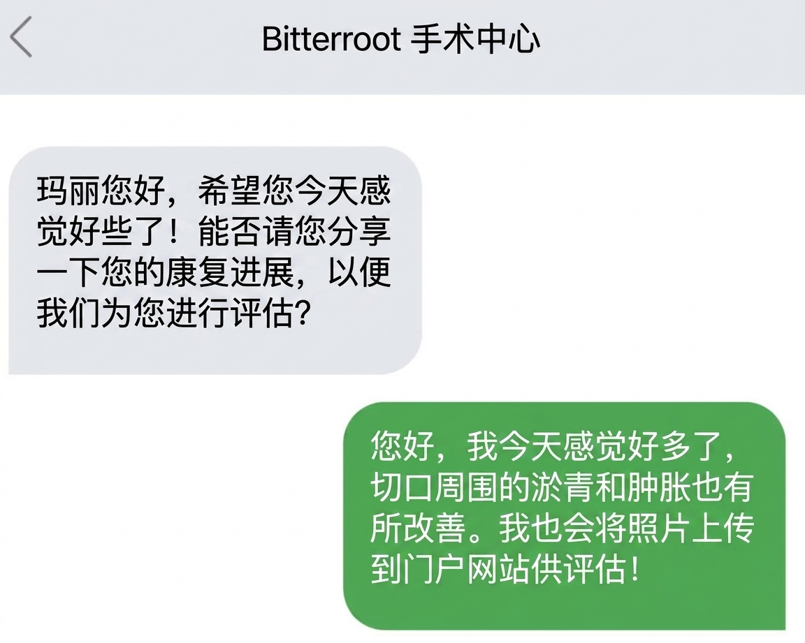 一幅图展示手机短信对话，仅以清晰方式传达关键信息