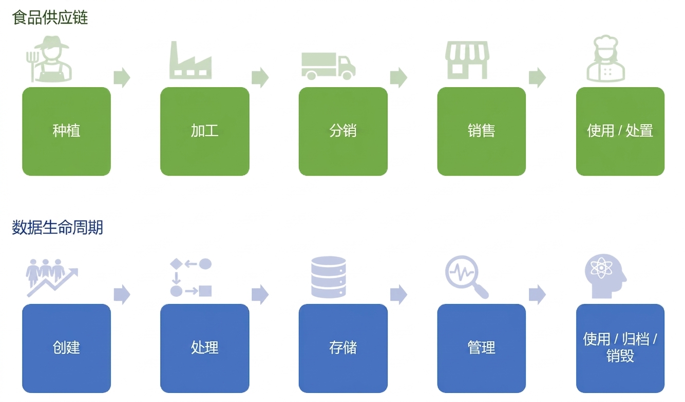 食品供应链与数据生命周期
