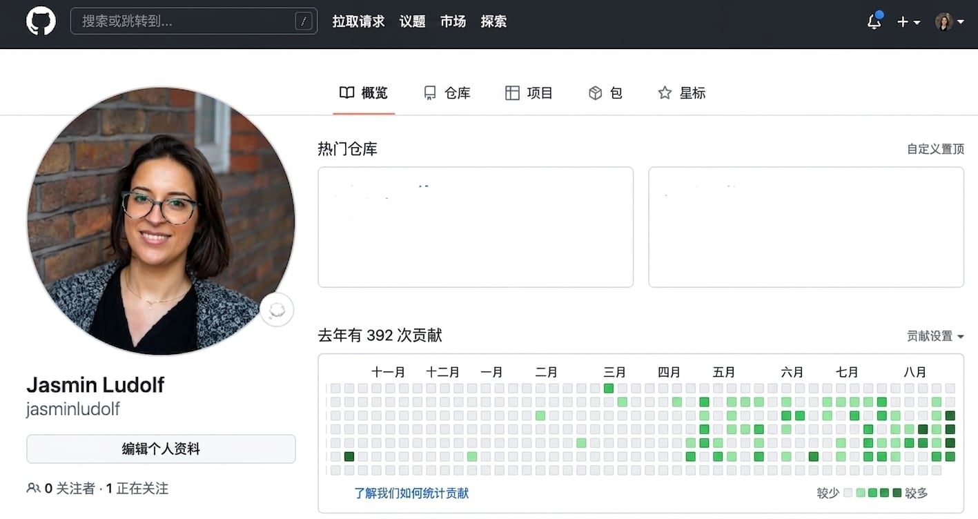 GitHub 个人主页视图