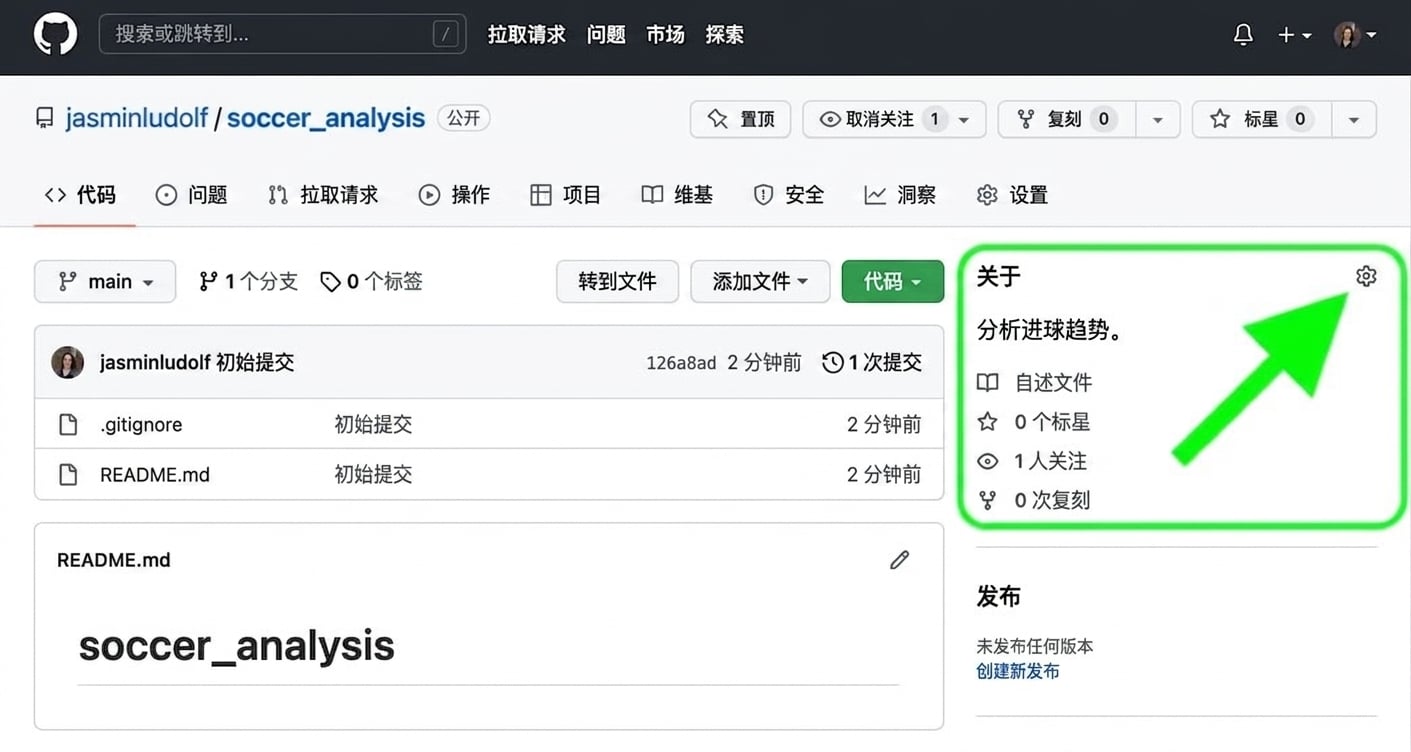 足球分析仓库视图，高亮了 About 区域
