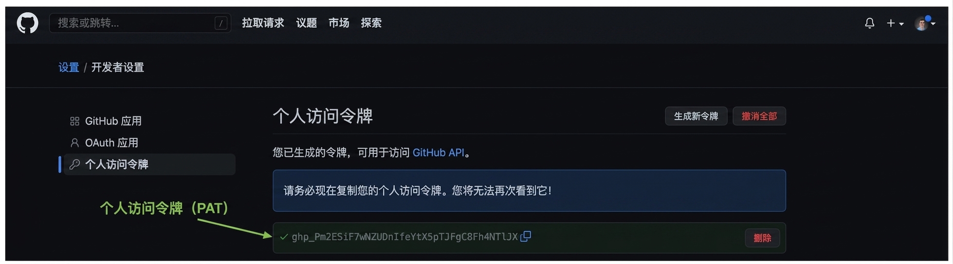 高亮显示为可复制的字母和数字混合的 PAT