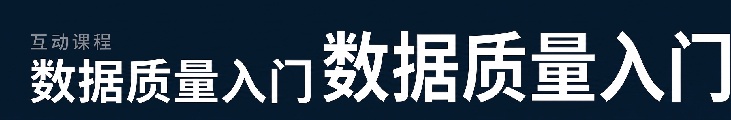 数据质量课程