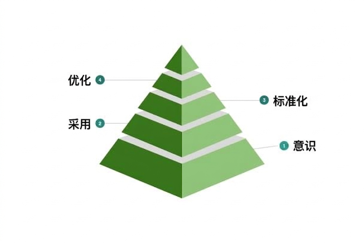 示例数据文化成熟度模型的第四级。
